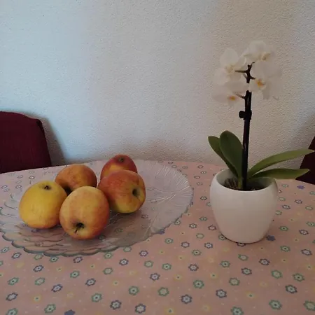 Matea Apartment